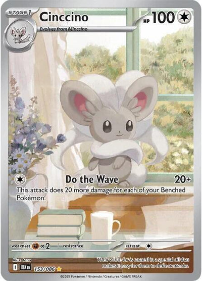 Cinccino